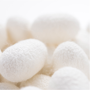 無菌まゆセリシン